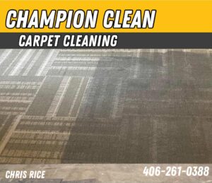 Carpet Cleaning
