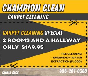 Carpet cleaning
